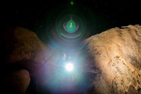 Joshua tree, United states, Flashlight photo