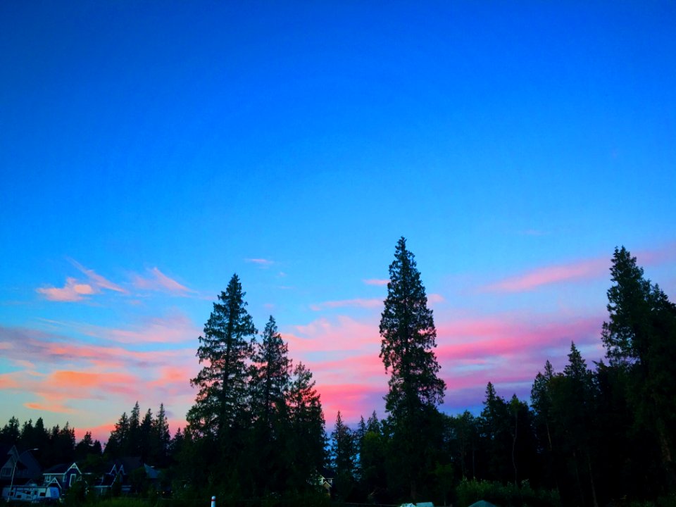 Langley, Canada, Summer