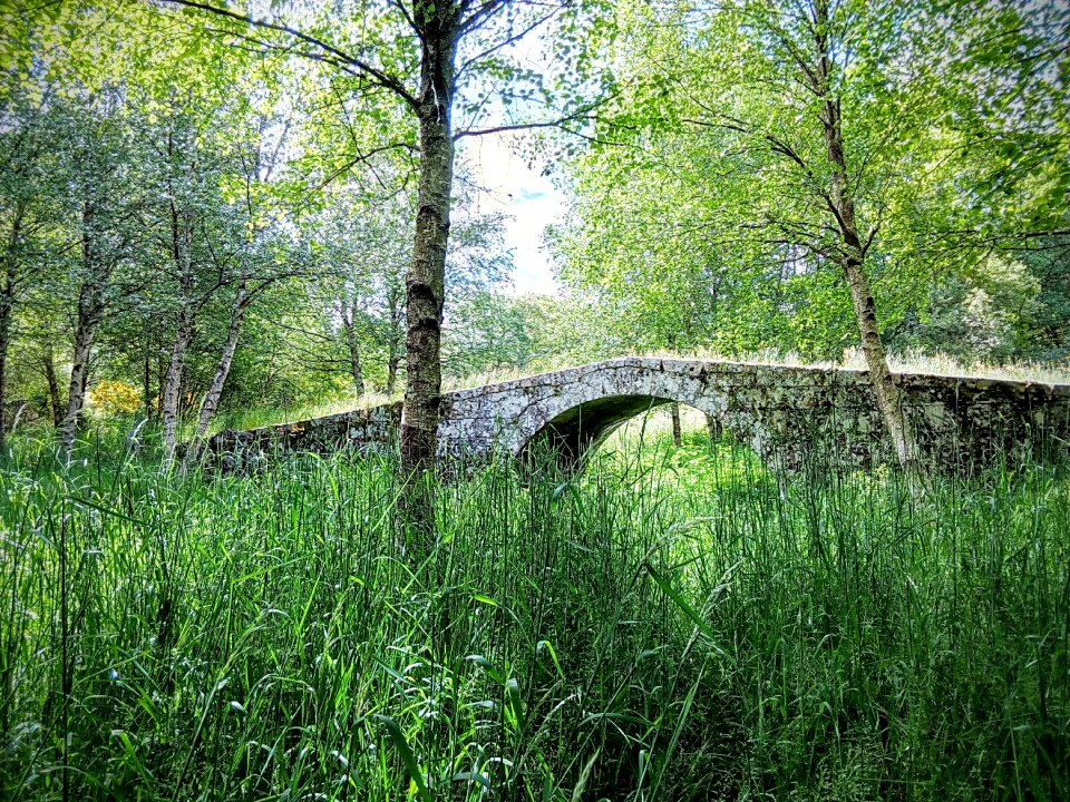 Herbs ribeira sacra galicia
