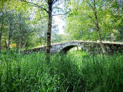 Herbs ribeira sacra galicia
