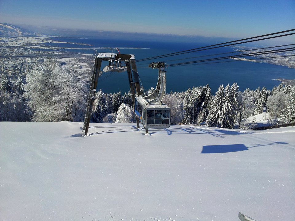 Austria, Chair lift, Tress