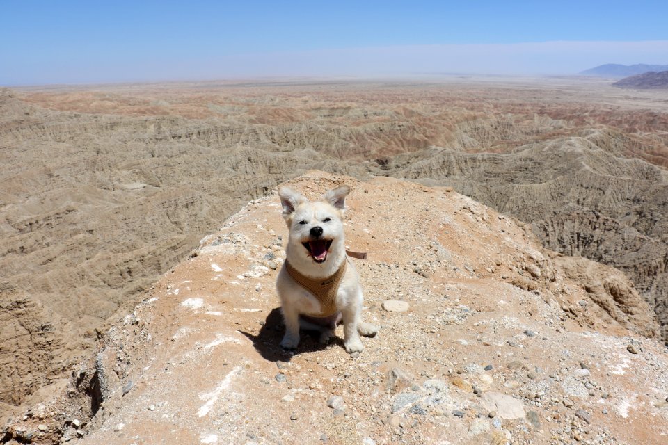 Anza borrego desert state park headquarters, Borrego springs, United states