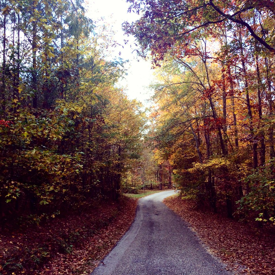 Alabama, Chelsea, United states