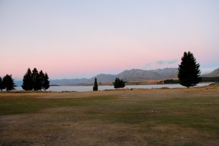 Lake tekapo, New Zealand, Meadow photo