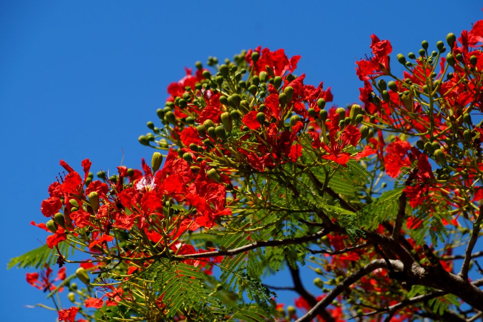 Bengaluru, India photo