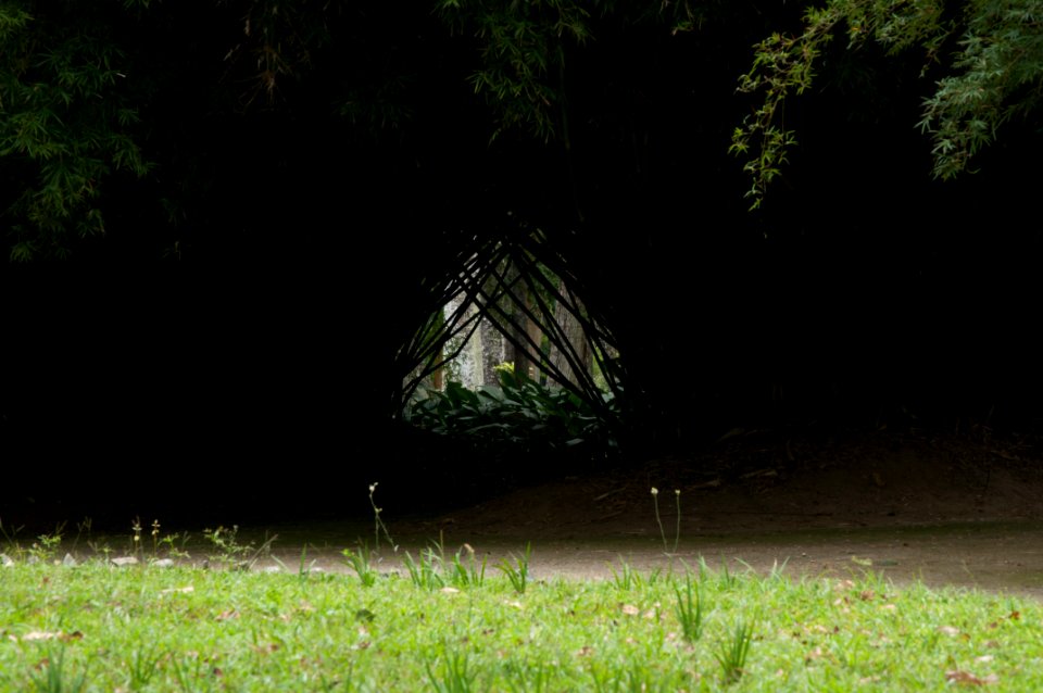 Rio de janeiro, Jardim botnico, Brazil