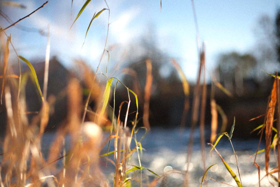 Canada, Manotick, Ontario