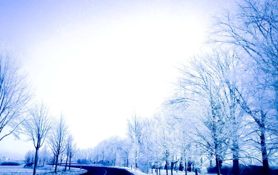 White, Road, Winter
