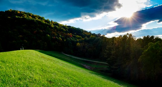 field of green grass near trees photo