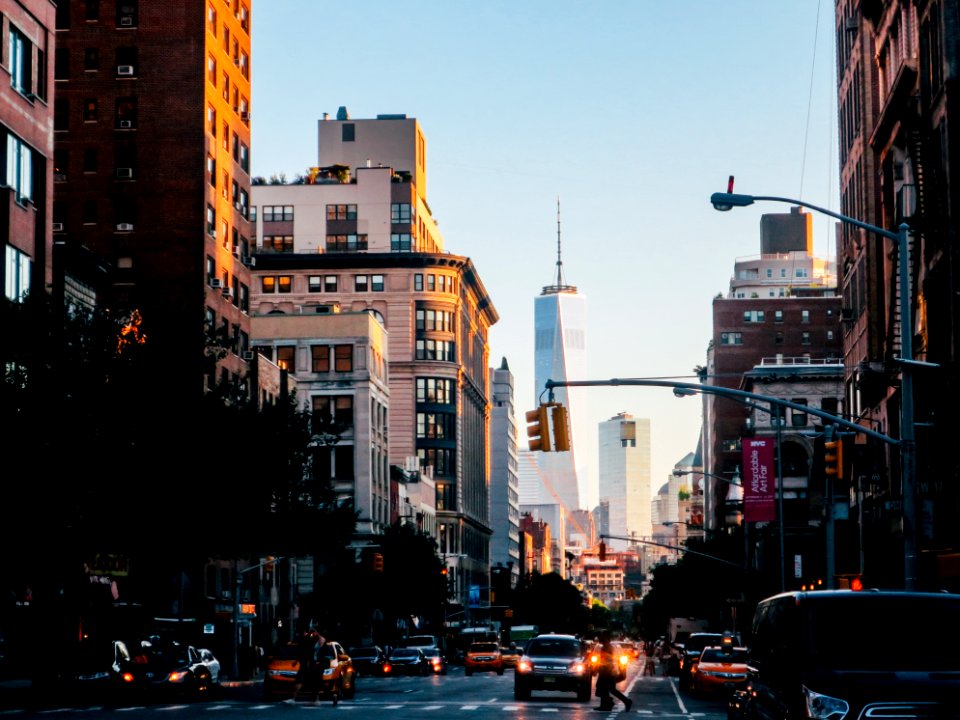 different vehicles on road viewing city with high-rise buildings