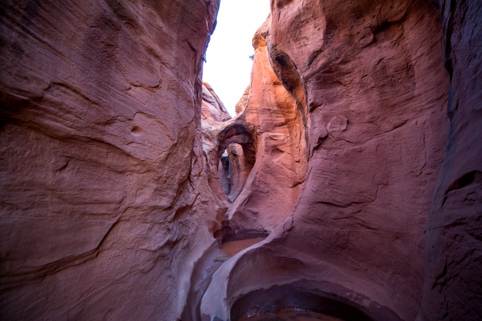 Utah, United states, World