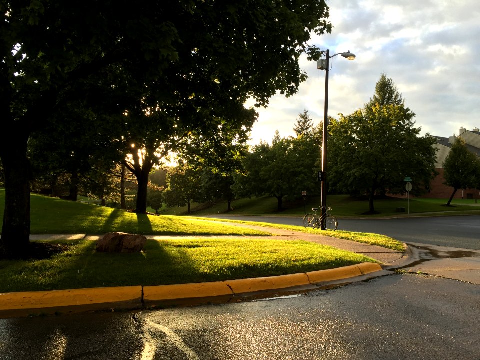 Sunshine, Sun, Sunlight