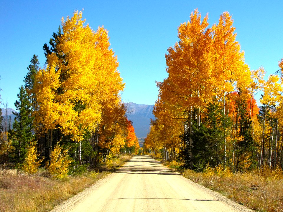 Winter park, United states
