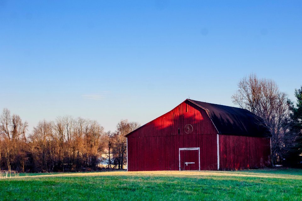 Bowie, United states, Grass