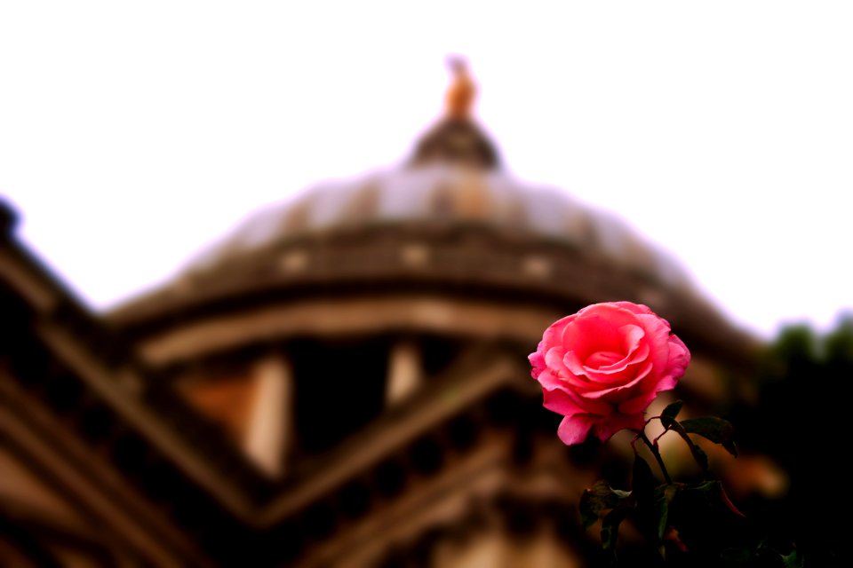 London, St pauls cathedral, United kingdom