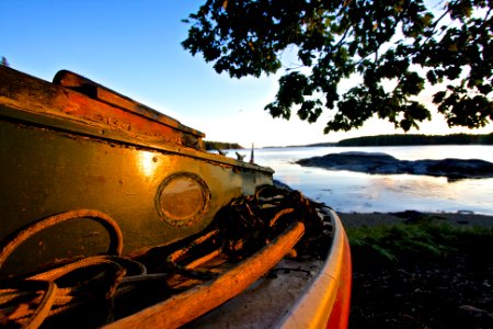 Camden, United states, Sailboat photo