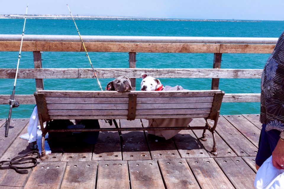 Huntington beach, United states, Fishing