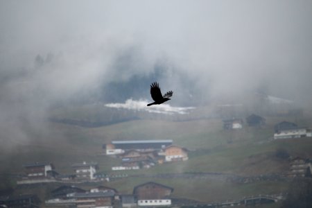 Mayrhofen, Austria, Mysterious photo