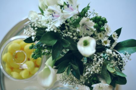 Green, Flower, Centerpiece photo