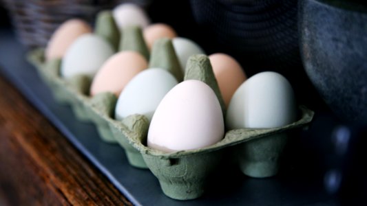 white and beige eggs on tray photo