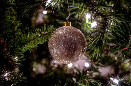 Meriden, United states, Holiday