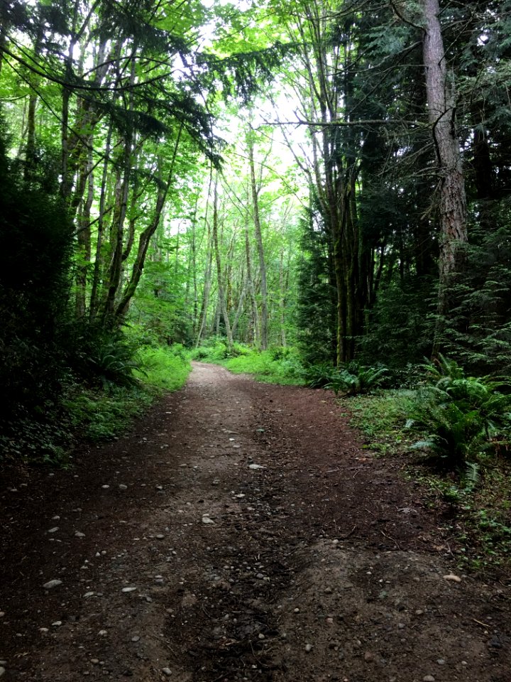 Bellevue, Washington, United states