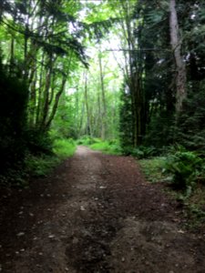 Bellevue, Washington, United states