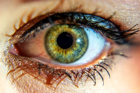 Pupil, Green, Macro