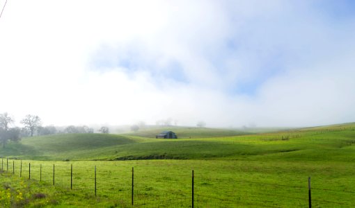 Latrobe, United states, Nature