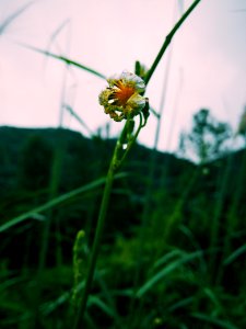 Hechuan, Chongqing, China