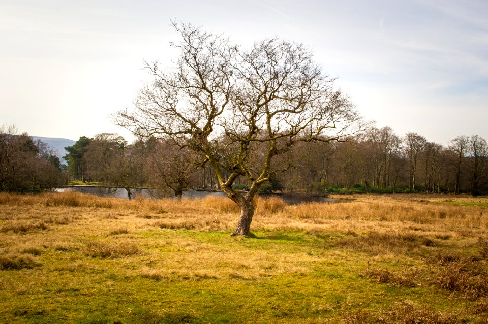 Longshaw estate, Longshaw, United kingdom