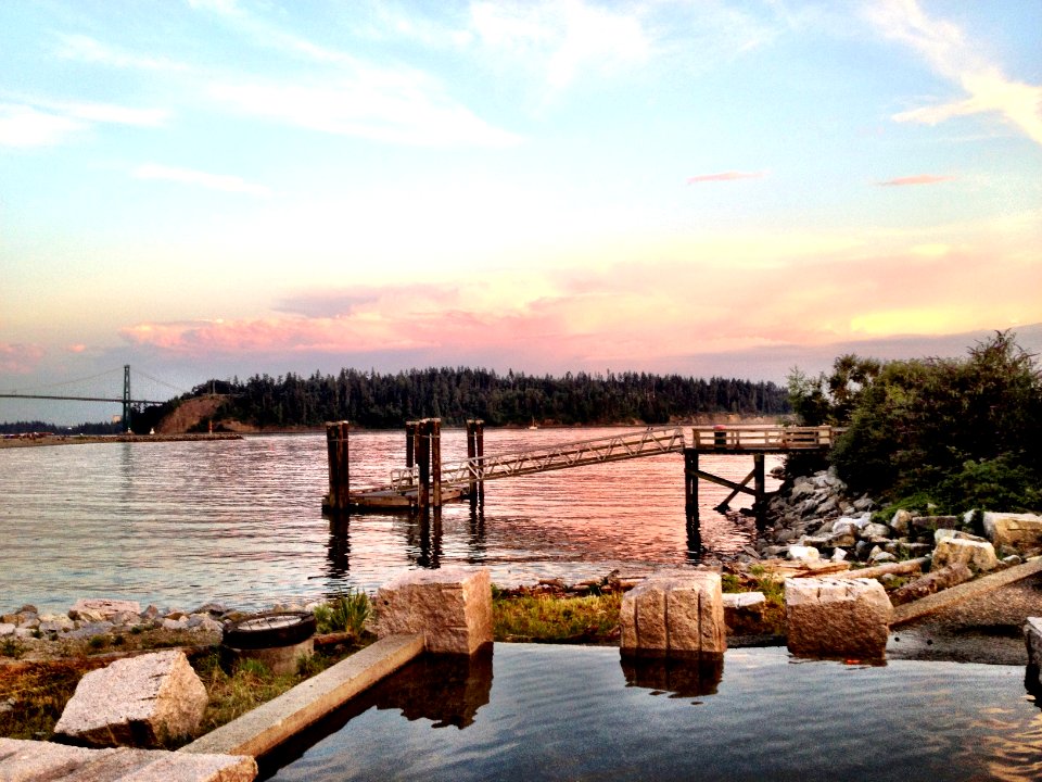 Trees, Ocean, Bridge