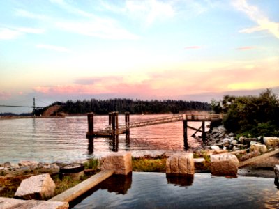 Trees, Ocean, Bridge