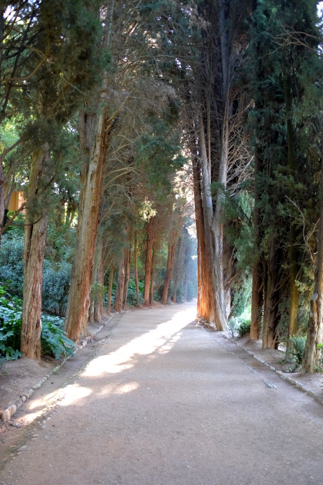 Granada, Spain, Light