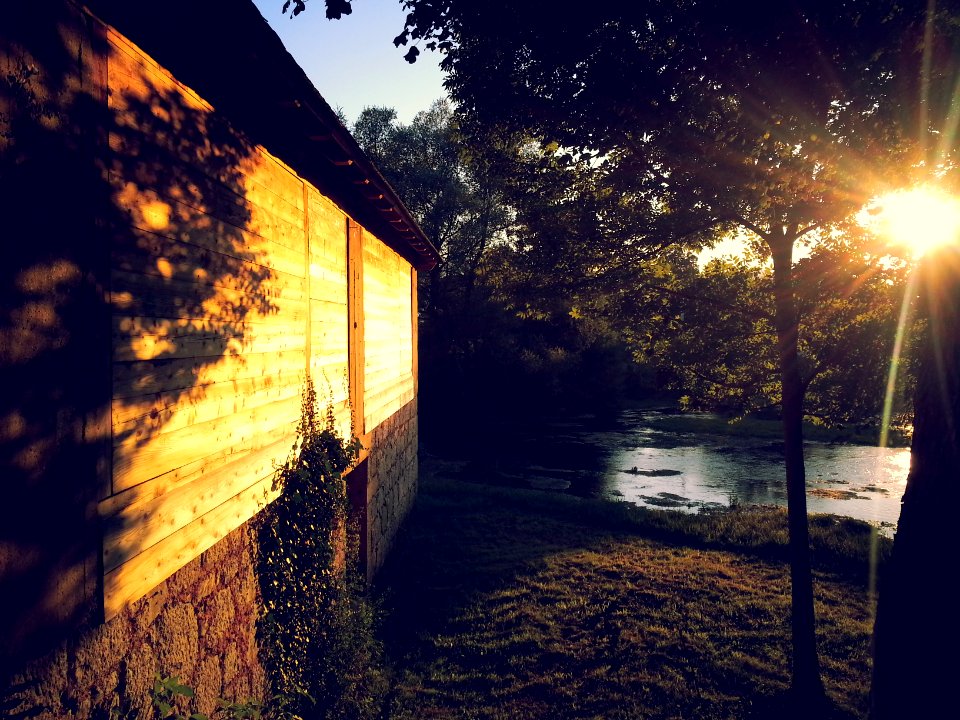 sun ray reflected on tree and wall