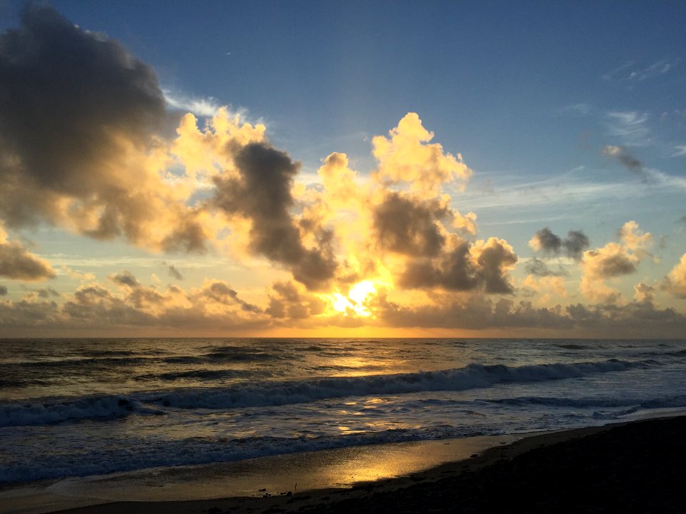 Paradise beach  park, Melbourne, United states