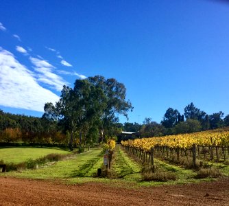 Jarrahdale, Australia, Countryside