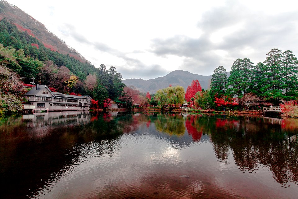 landscape photography of body of water surrounded with trees