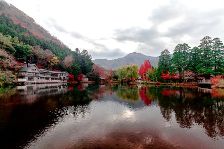 landscape photography of body of water surrounded with trees