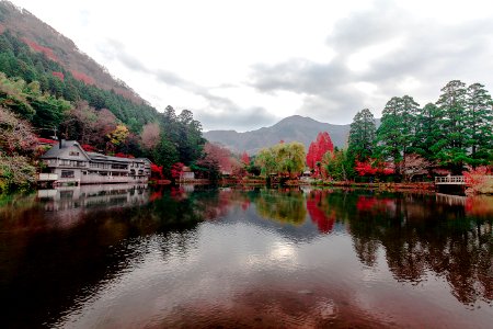 landscape photography of body of water surrounded with trees photo