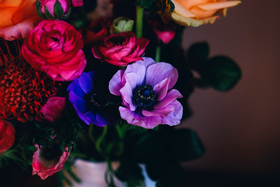 closeup photo of assorted-colored flowers
