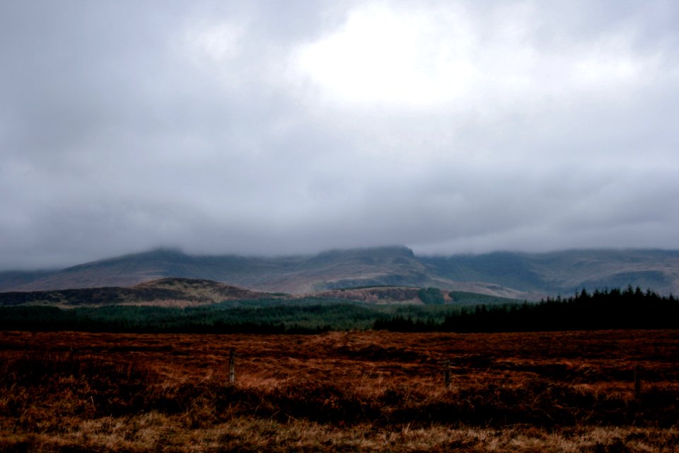 grasslands during cloudy day
