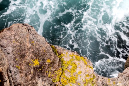 Maroubra beach, Australia, Macro photo