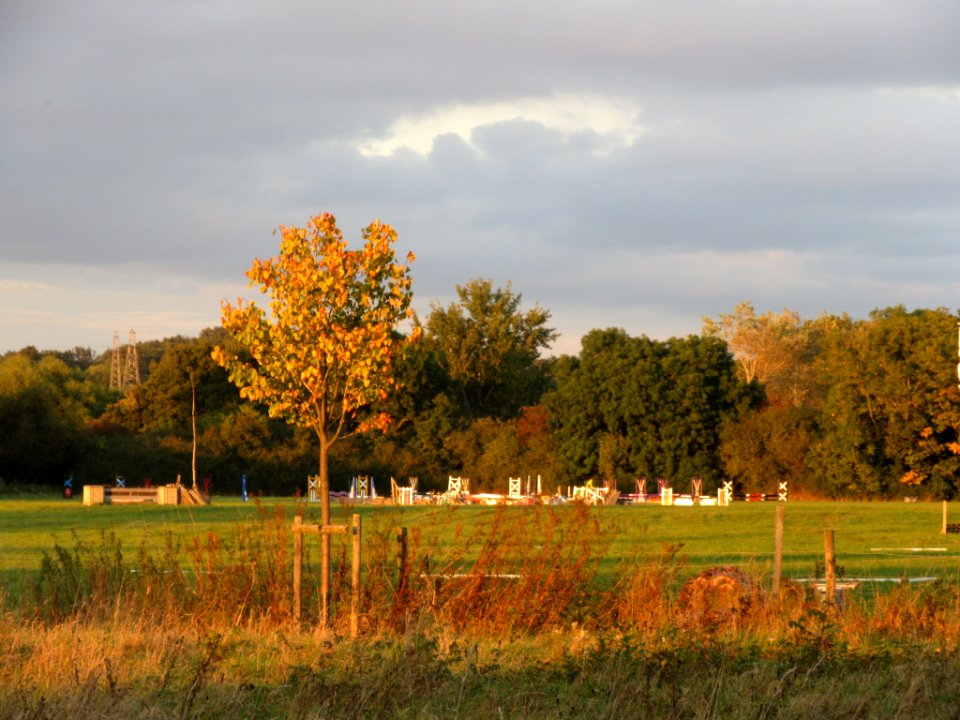 Fetcham, United kingdom