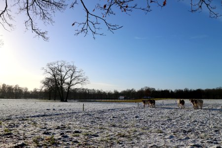 Aalten, Netherland, Winter