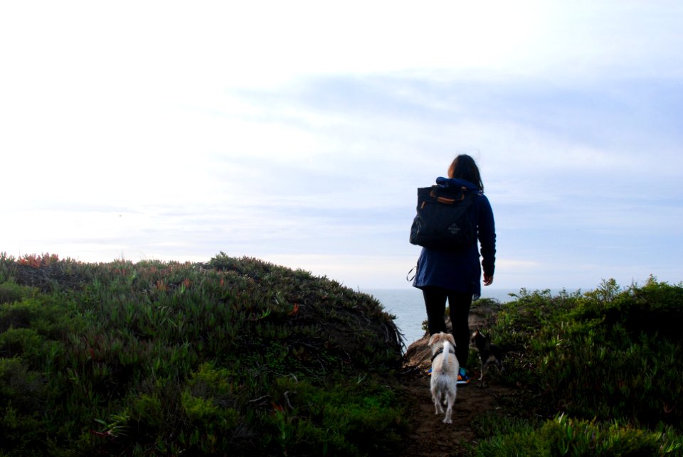 Rodeo beach, United states, Backpack