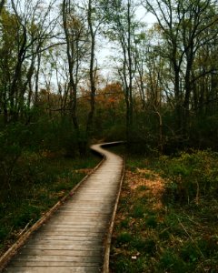 Hancock street park, Lansdale, United states