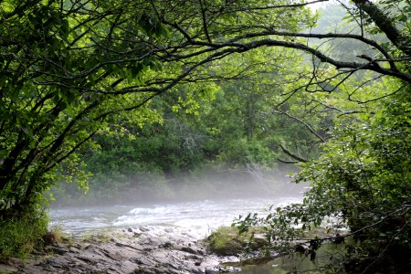 Broken bow, United states, Morning dew photo