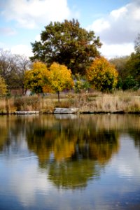Autumn, Neighborhood, Outdoors