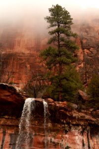 Zion national park, United states, Canyon photo